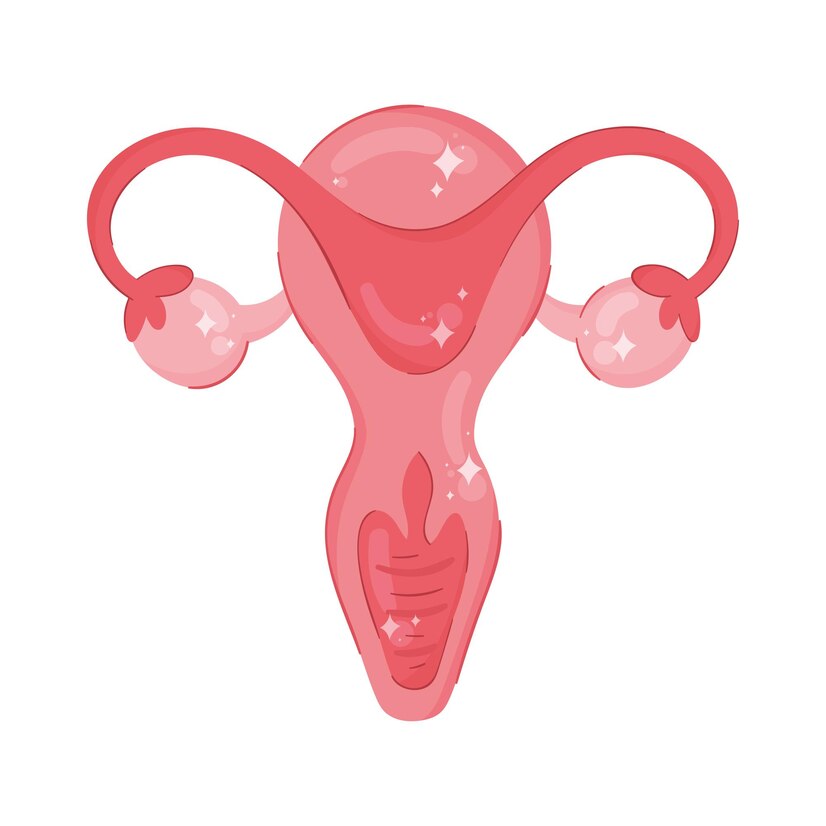 Uterus Surgery